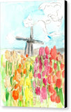 Holland In Spring - Canvas Print