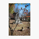 Autumn Mausoleum at Maple Hill Cemetery Photographic Print