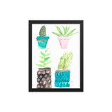 Succulentus Bellus framed poster