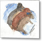 Napping Weenies - Metal Print