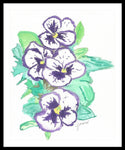 Purple Pansy Power - Framed Print