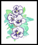 Purple Pansy Power - Framed Print