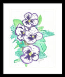 Purple Pansy Power - Framed Print